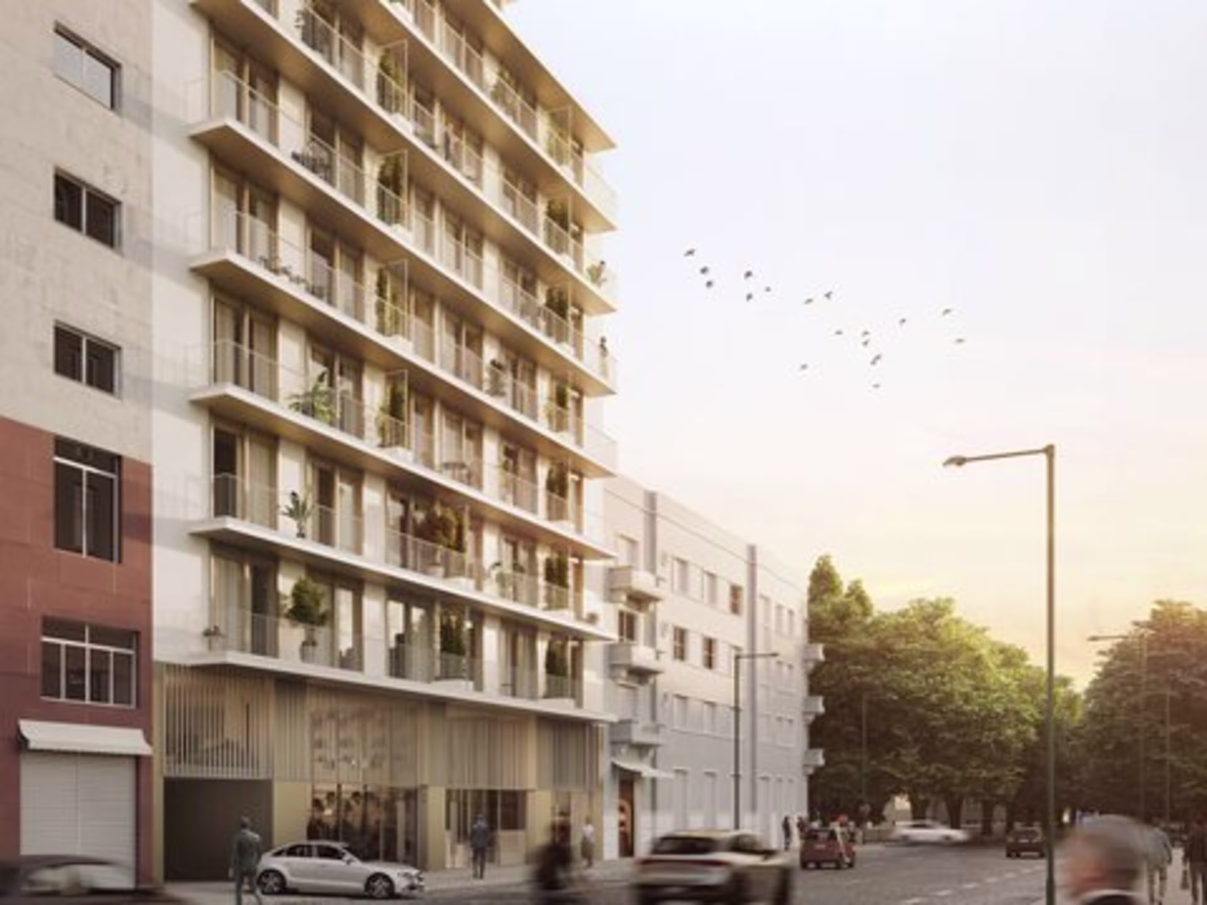 Pulse Lisboa | António José de Almeida 7