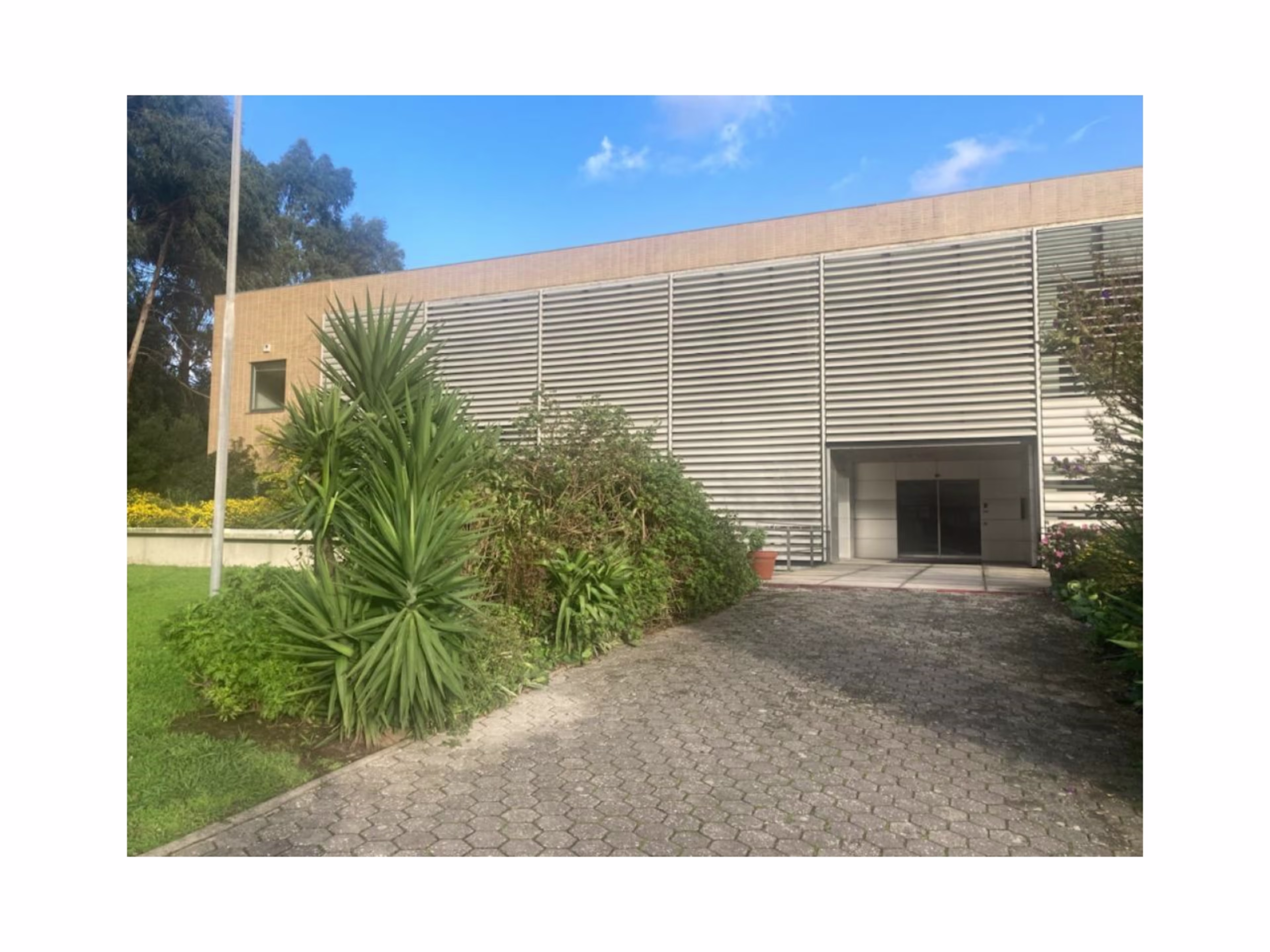 Edifício IPG