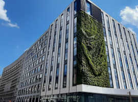 Młyńska 6 - podnajem