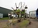Claas 780 L Claas Rake