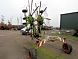 Claas 780 L Claas Rake