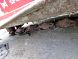 Lely Splendimo 2320 FC Mo