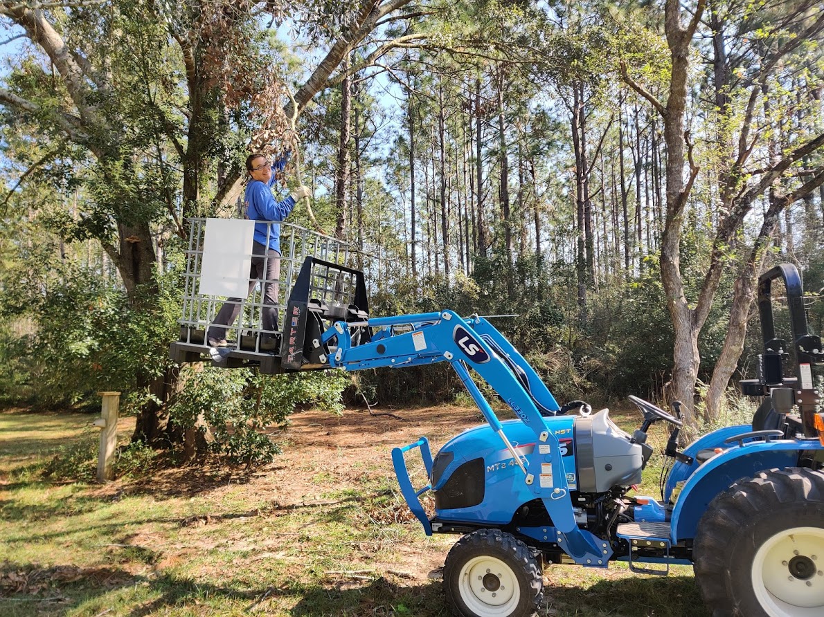 tree_bucket.jpg