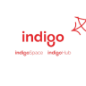 indigo