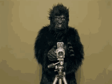 Award Winning Documentary Wedding Photographer Limerick Ireland Award Winning Documentary Wedding Photographer Limerick Ireland