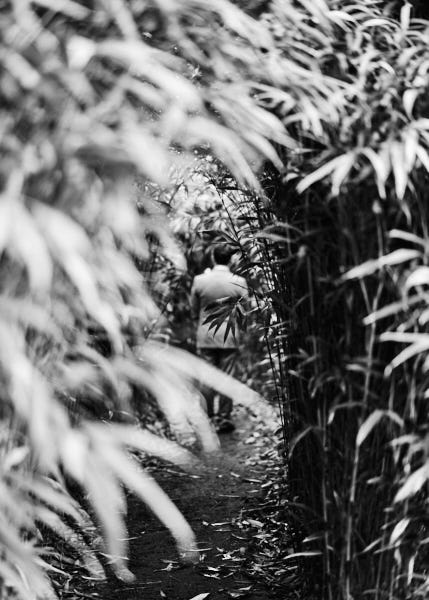 Award Winning Documentary Wedding Photographer Limerick Ireland Jamie Gillies / My Real Name Is James Wedding Photography Fini & Harley Fernhill House Cork 2020