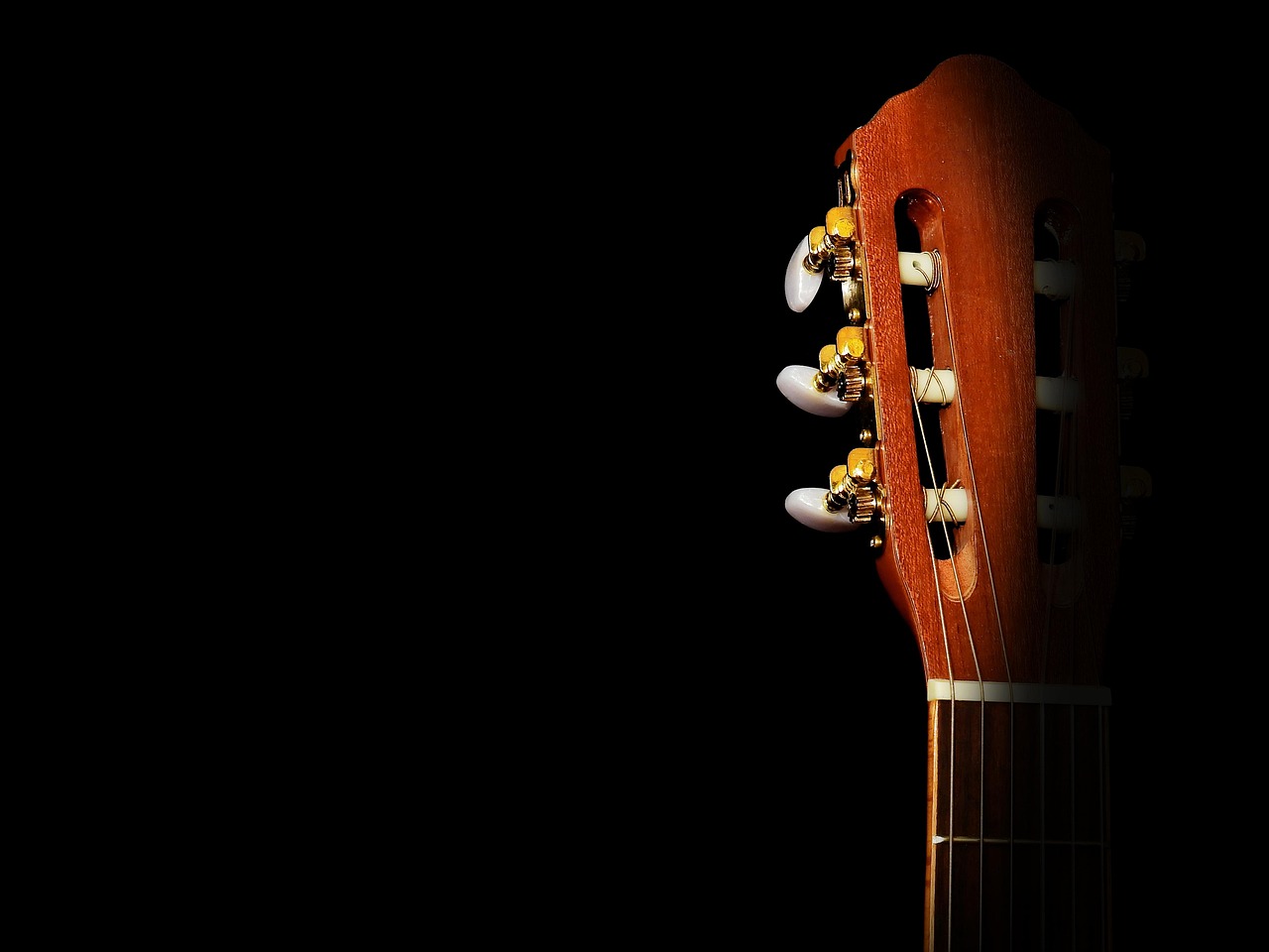 Tips Belajar Gitar agar Cepat Bisa