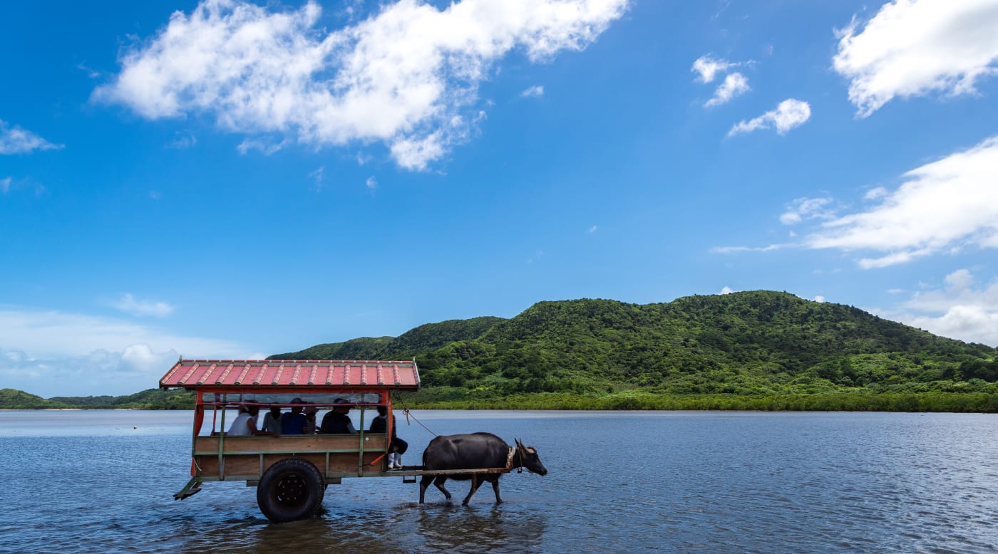 ryukyu islands tourism