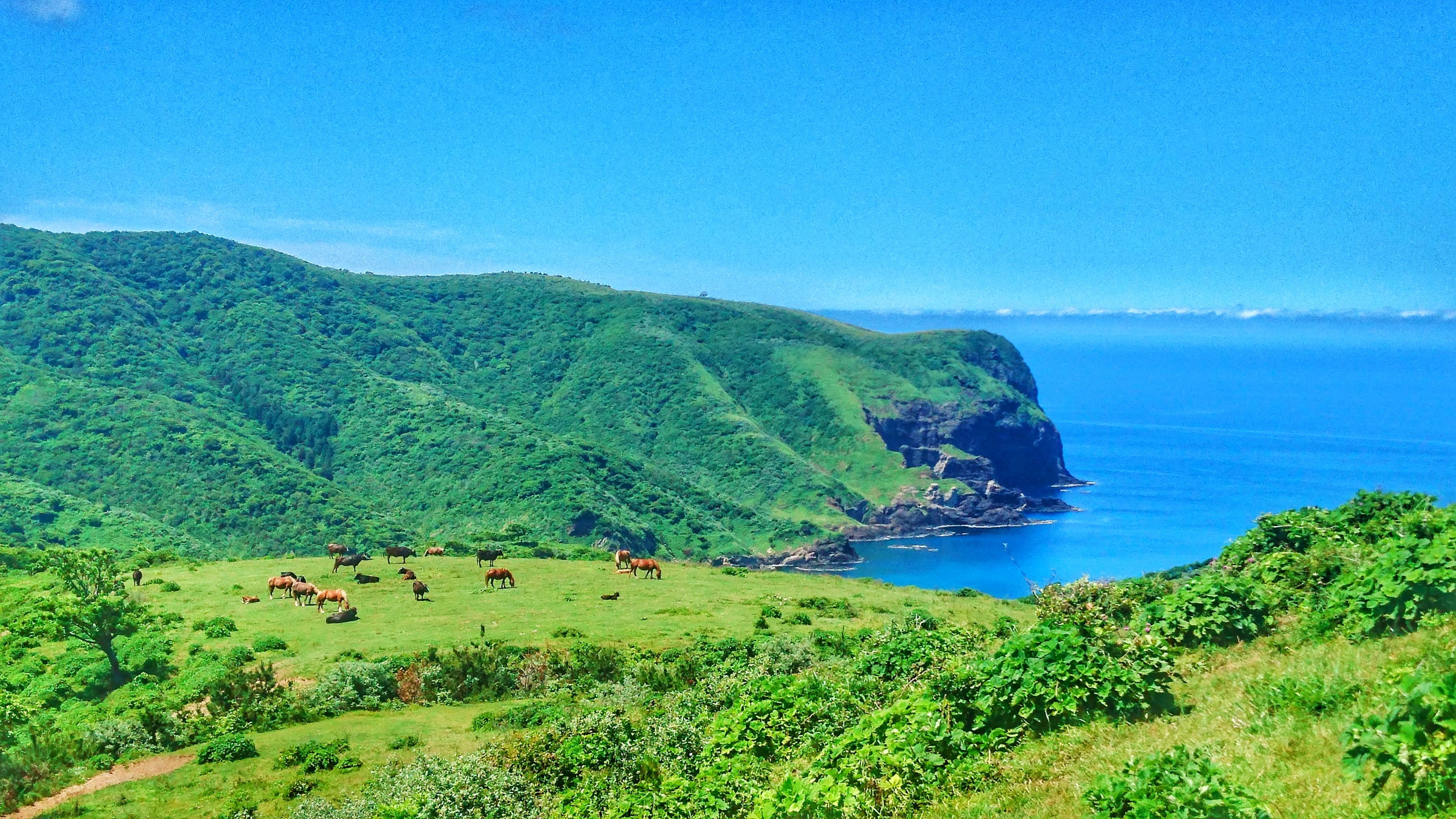 oki islands tourism