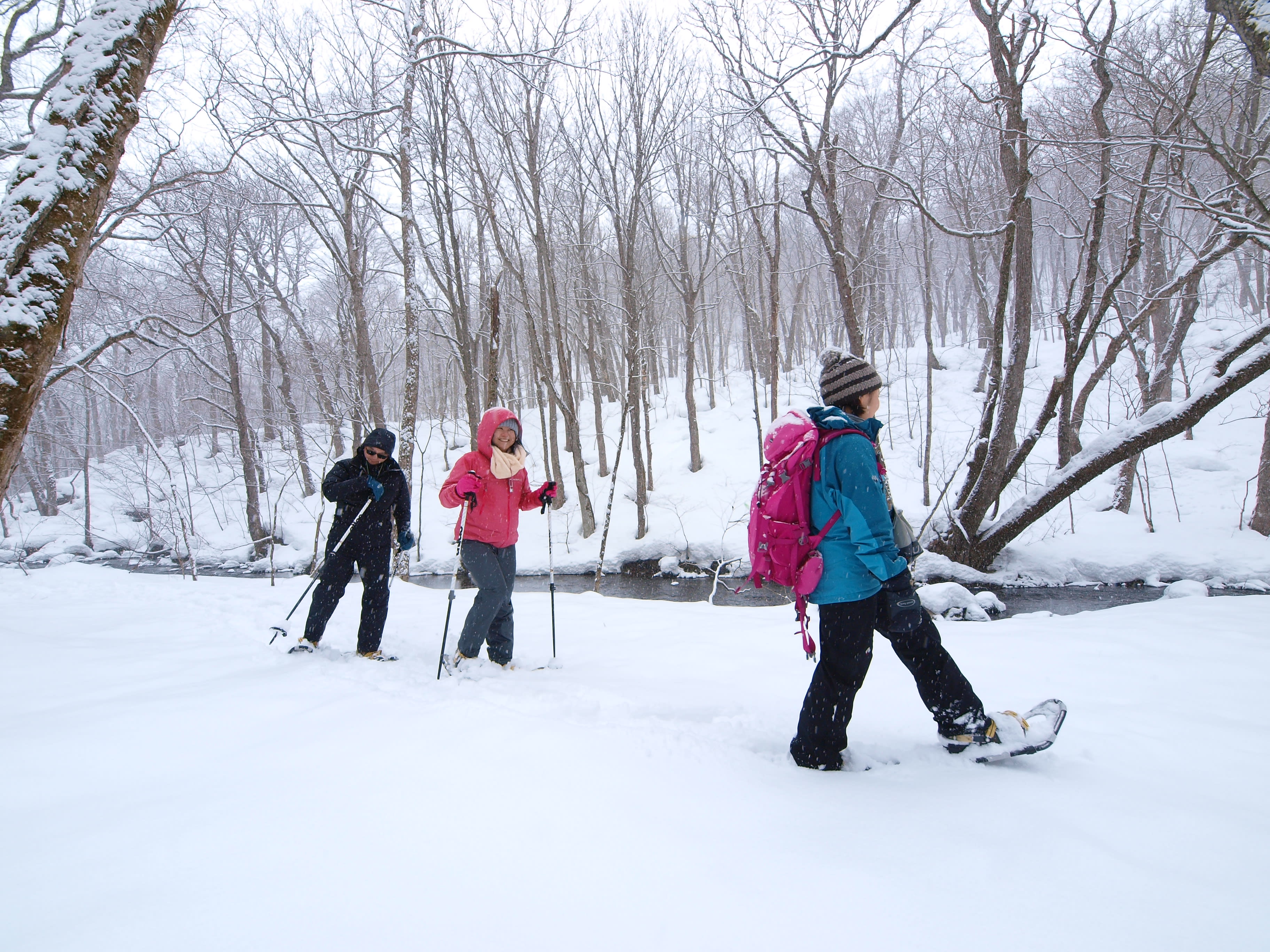 奧入瀨雪地健行 日本國家公園