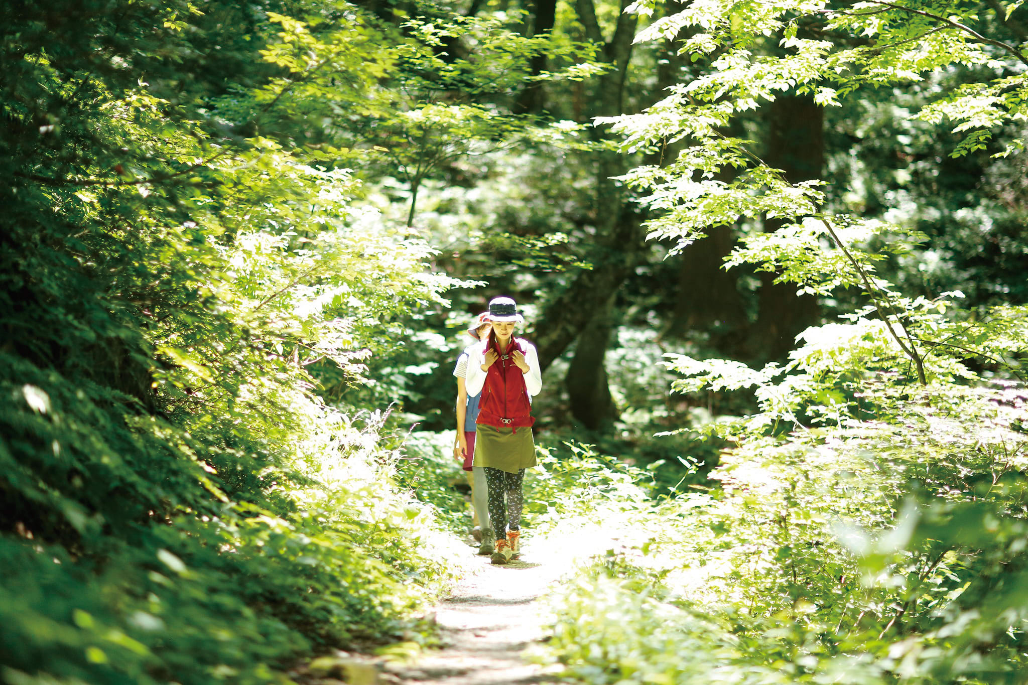 A Forest Hike to a Secluded Shrine National Parks of Japan