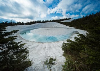 网张森林雪地徒步