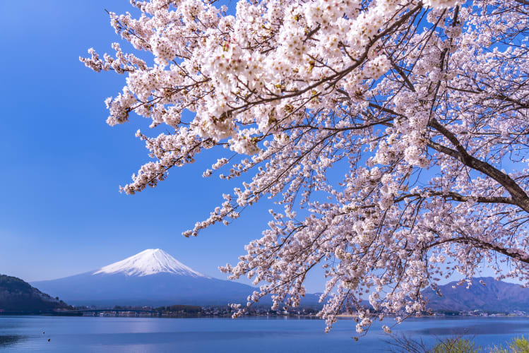 Fuji-Hakone-Izu National Park