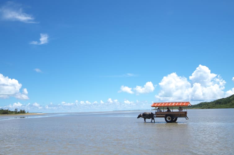 Iriomote-Ishigaki National Park