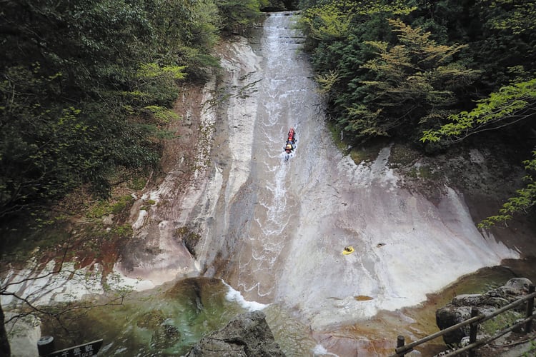 仅限夏季！在山毛榉林溪流源头的“大山溯溪”