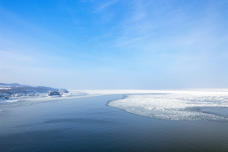 北海道的味覺饗宴