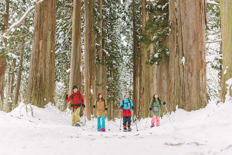 Snowshoe Adventure in the Forests of Nagano