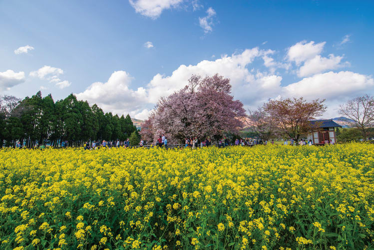 阿蘇九重國家公園