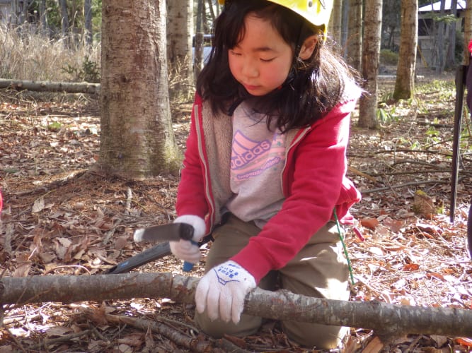 Protecting the Forests of Mount Fuji