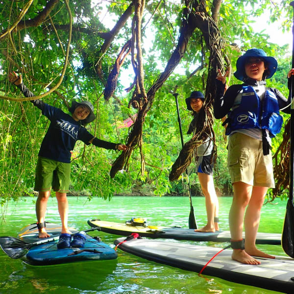 Serunya Menikmati Hutan Mangrove di Sungai Hija Okinawa dengan SUP