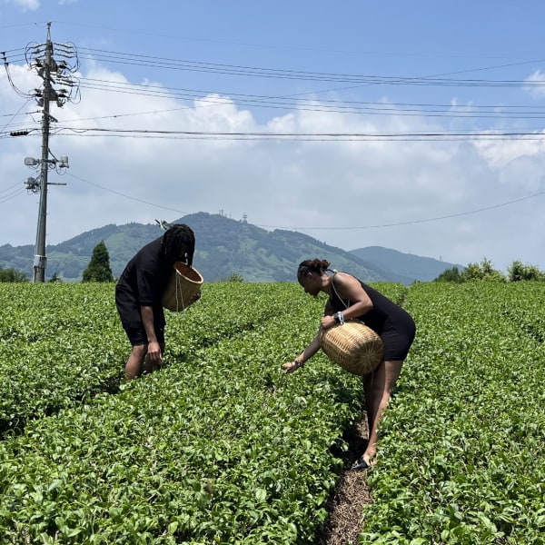 透過「世界農業遺產 茶草場農法」實踐SDGs永續發展⽬標，並體驗日本的食文化【品味茶葉】