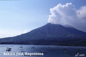 sakurajima.jpg