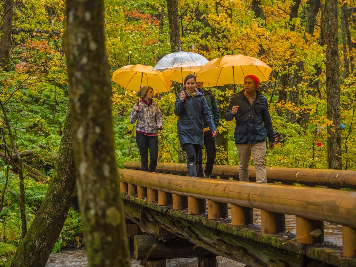 Hikers in Japan