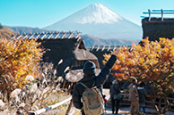 ソドムの市 ソドムの市〈HDニューマスター版〉～制作40周年記念～ | パオロ