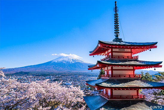 Cherry Blossoms - Japan National Tourism Organization
