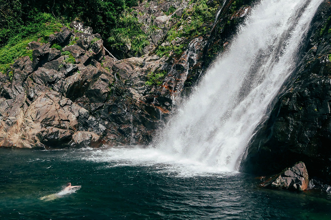 Yakushima Island Japan National Tourism Organization (JNTO)