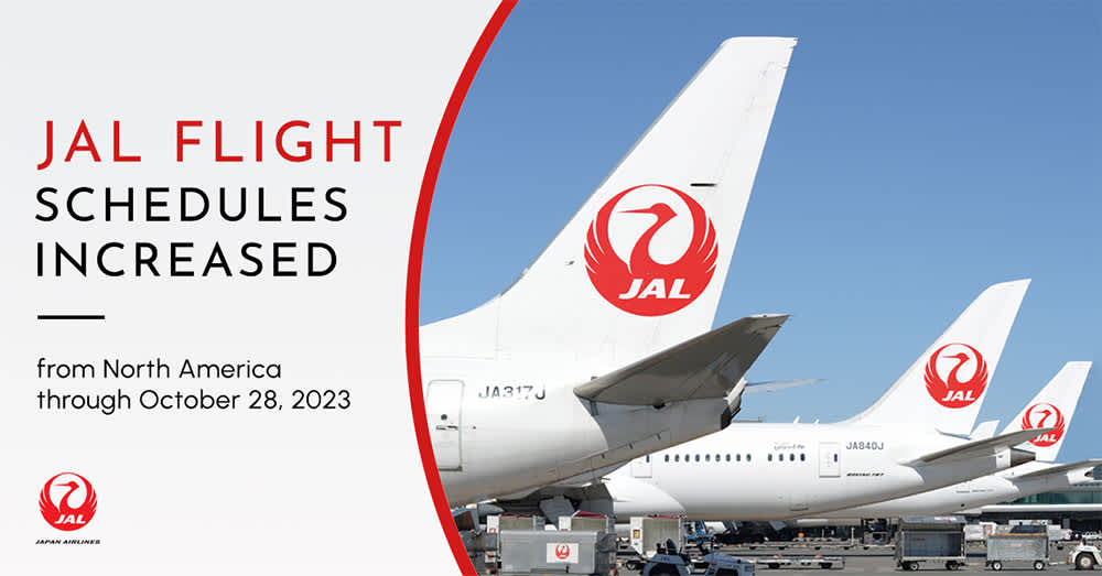 japan airlines travel requirements to usa