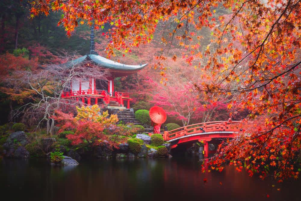 why should i visit kyoto japan