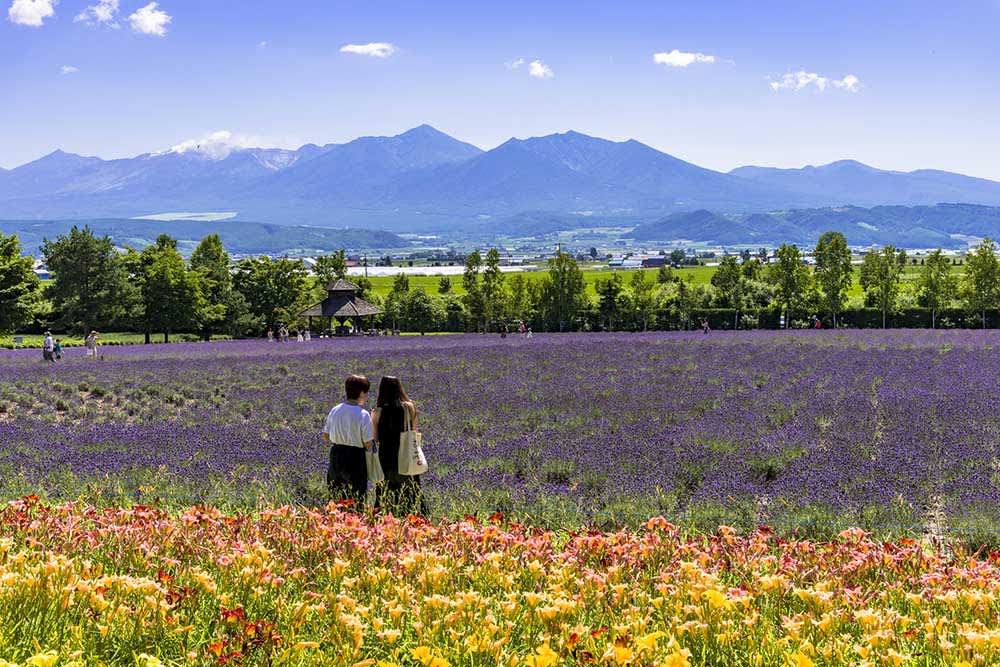 best road trips japan