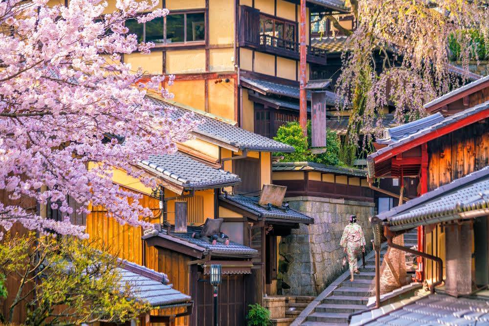 why should i visit kyoto japan