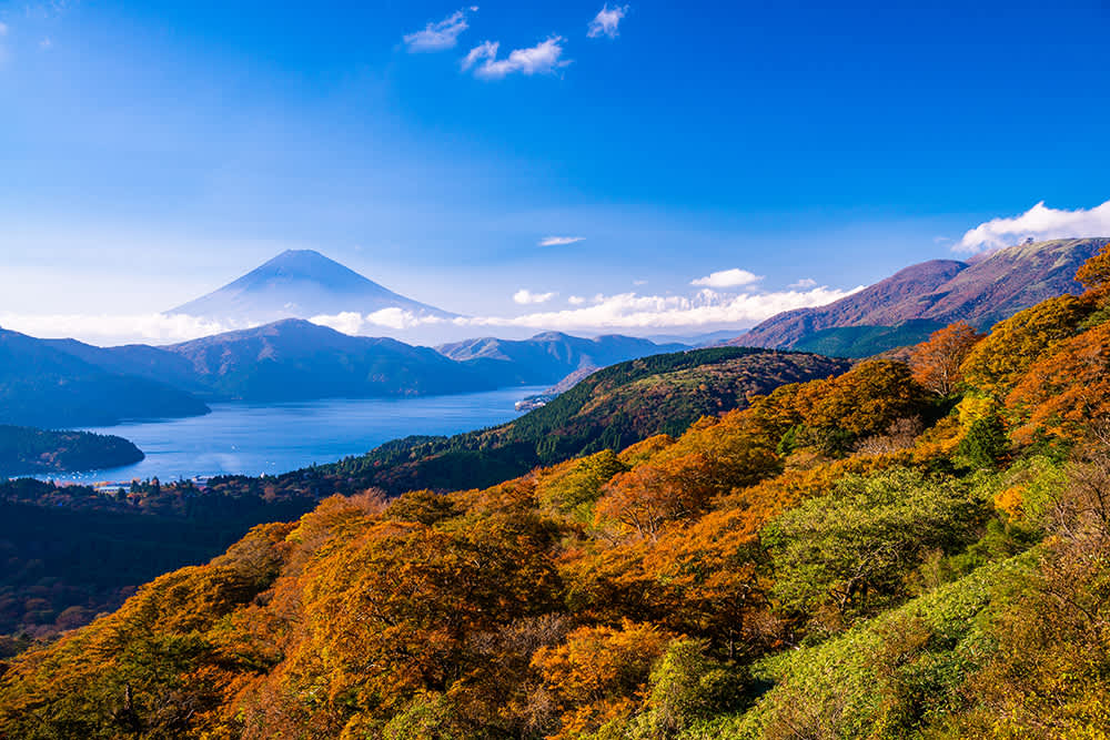 An ANIME Brought Me to This Mountain in Japan