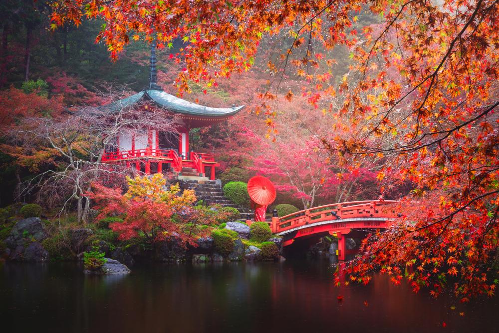 The Kyoto Checklist 15 Things You Absolutely Must Do In Kyoto