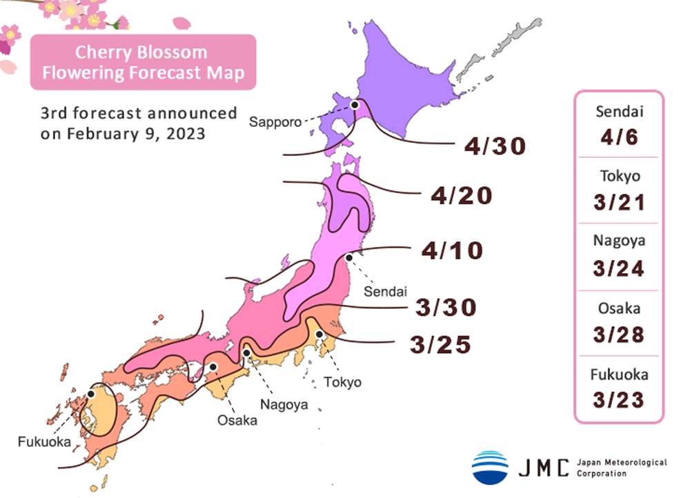Japanreise im Frühling Die Kirschblüten Prognose 2023 ist da!