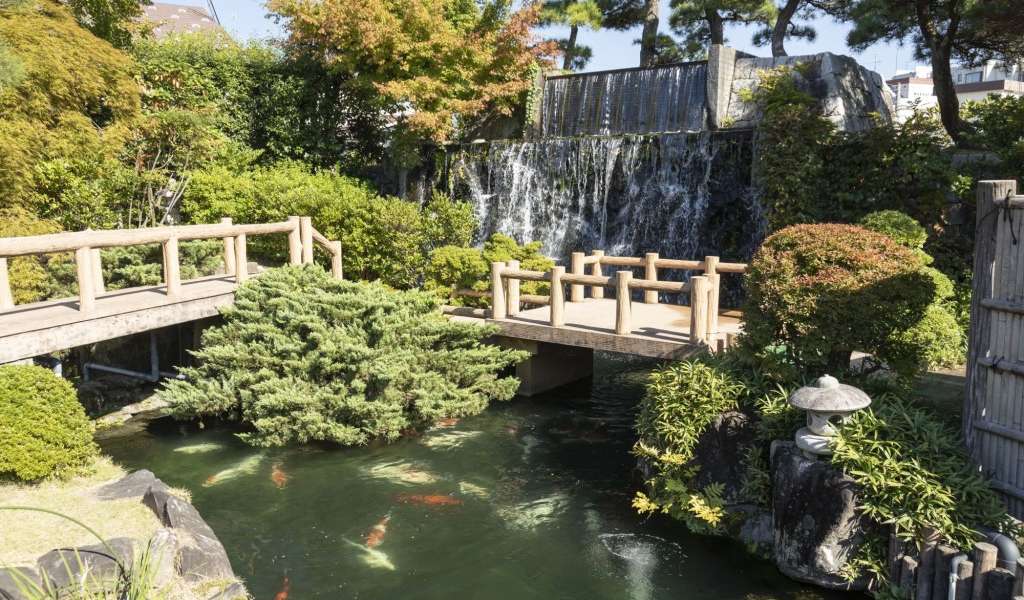 Nishikigoi no Sato, Japanese garden with a pond with fish in the pond