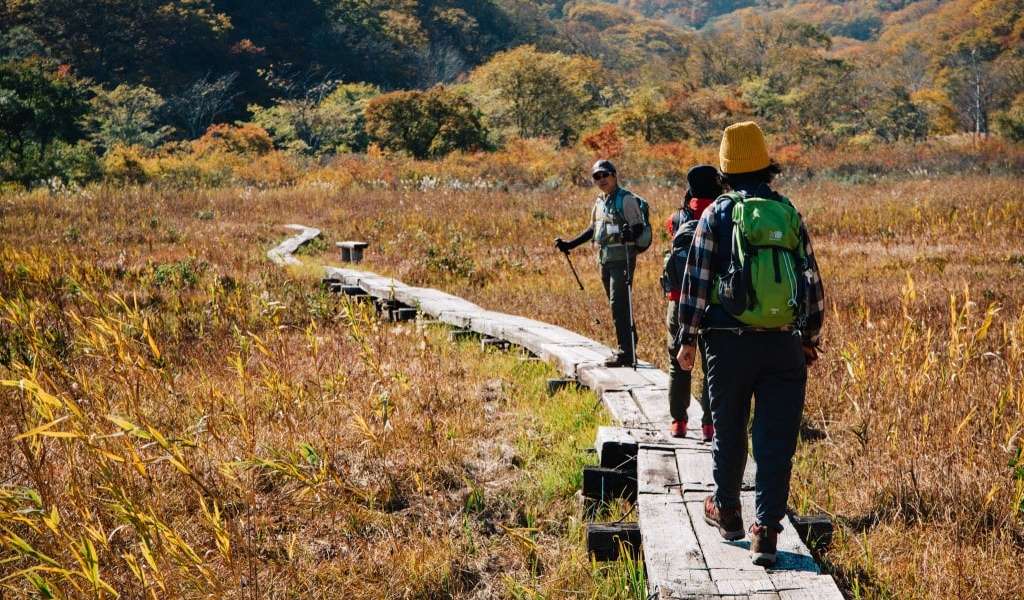 Numanohara Wetland in autumn