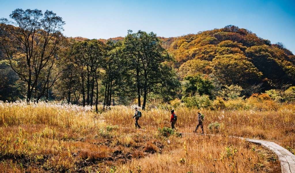 People hiking the Shinetsu Numanohara Wetland trail
