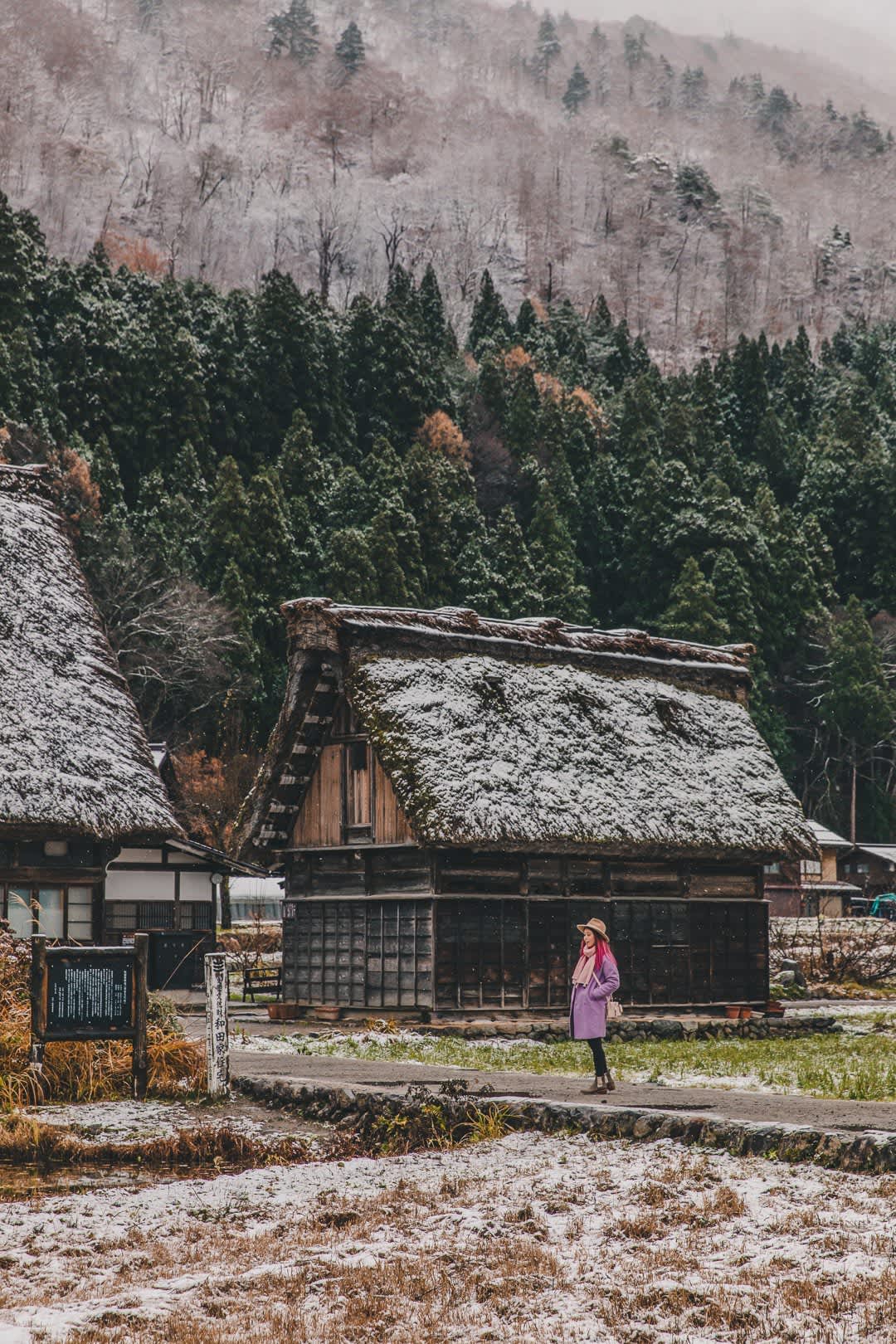 land tour shirakawa go