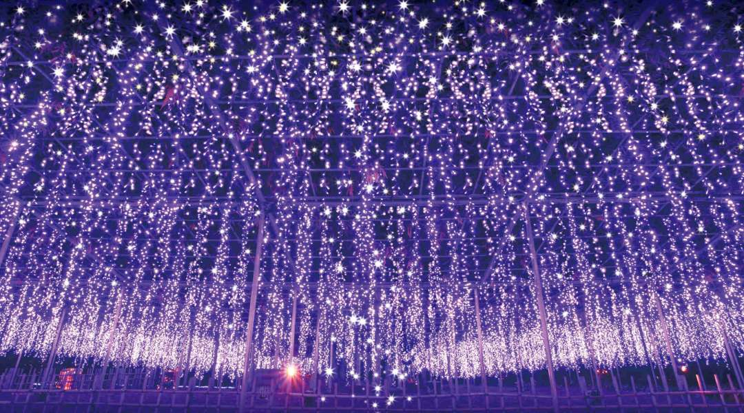 Illuminated wisteria in Ashikaga Flower Park in Tochigi