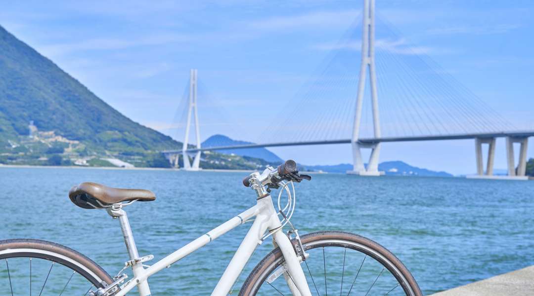 Japanese cycle shop