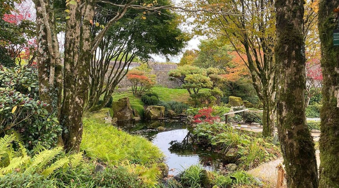 Natural Escapes 10 Japanese Gardens in the UK and Ireland Blog