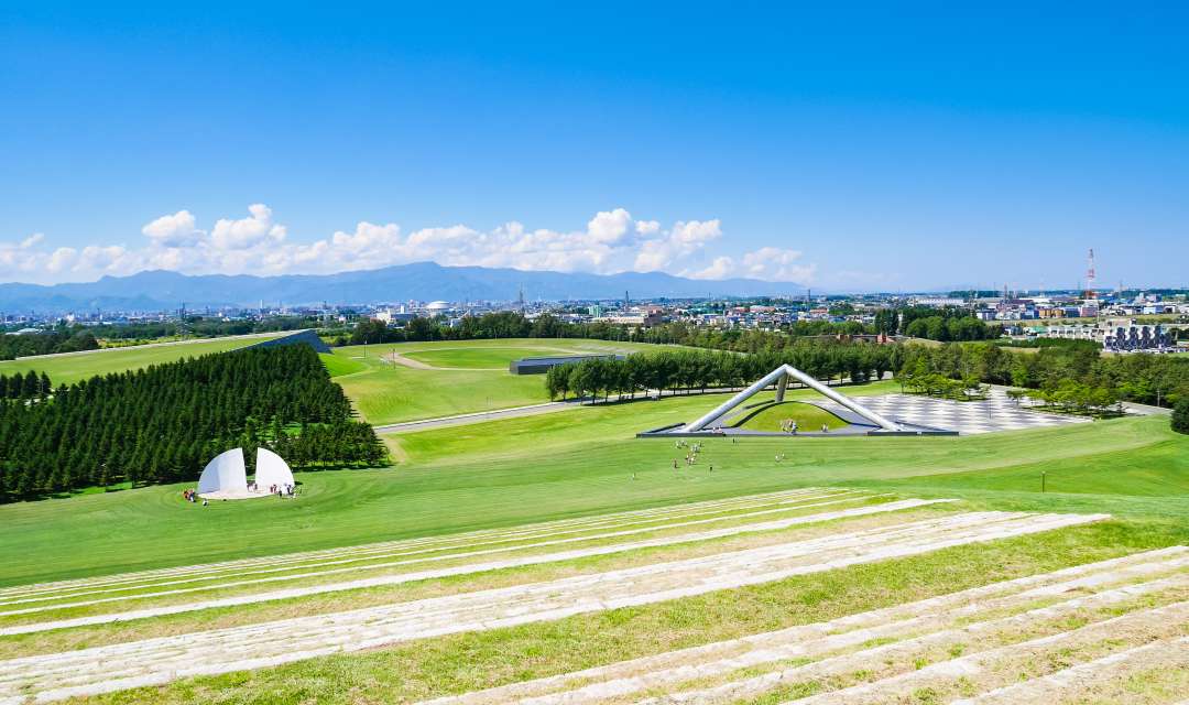 large green space with city and mountains in background