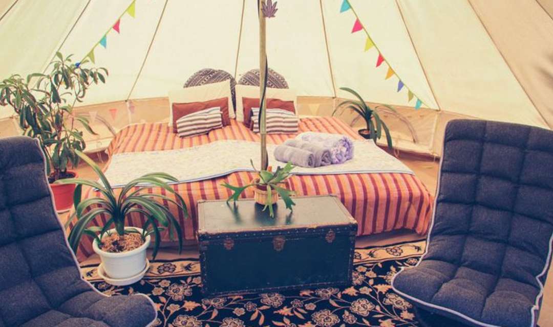 a bed inside a large tent with some plants and bunting