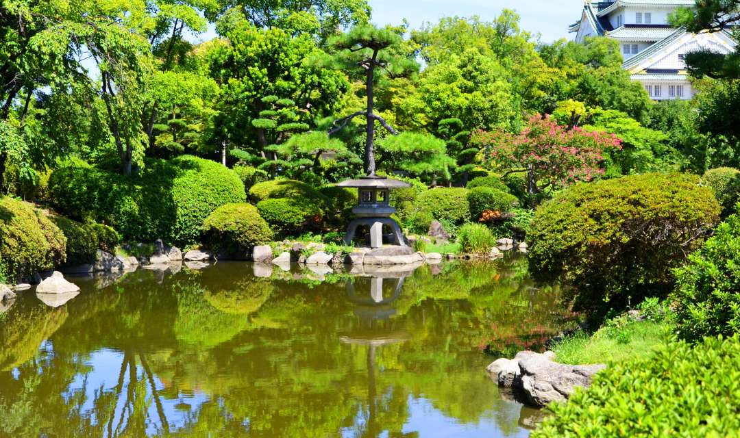 a pond surrounded by green japanese trees