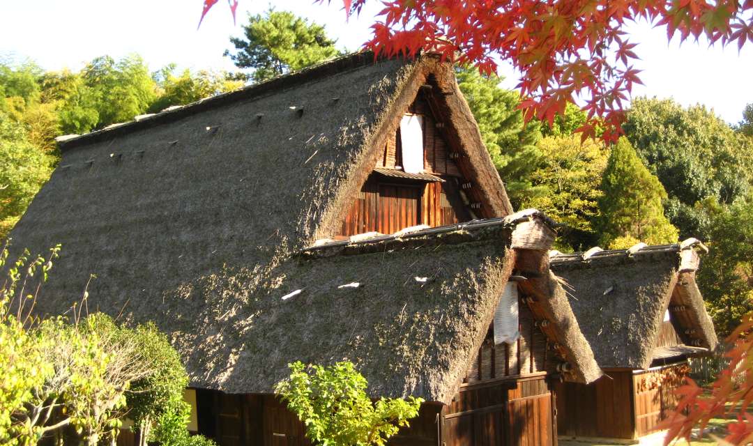 thatched roofs of traditional houses surrounded by trees