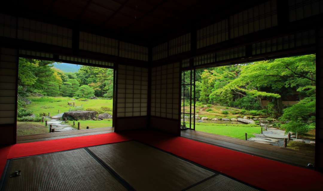 green garden seen through two open windows