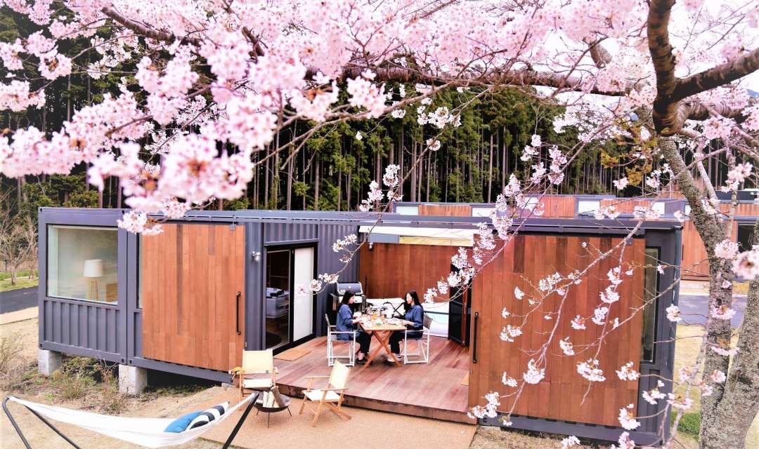 two women dining outside a cabin behind cherry blossom branches